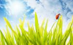 Energia PULITA al 100%