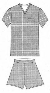 Scheda