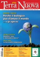 Scheda