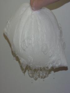 Scheda